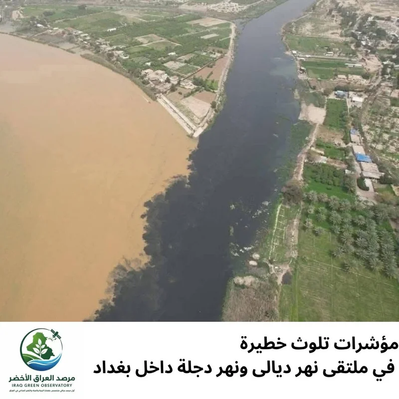 Alert: Pollution in the Tigris River