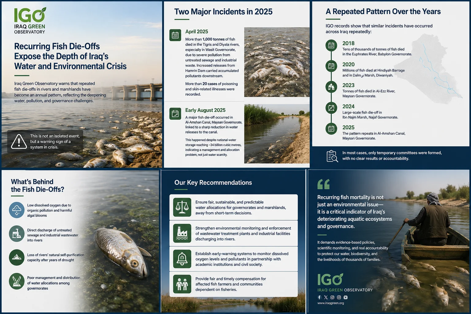 Iraq Green Observatory: Recurring Fish Die-Offs Expose the Depth of Iraq’s Water and Environmental Crisis